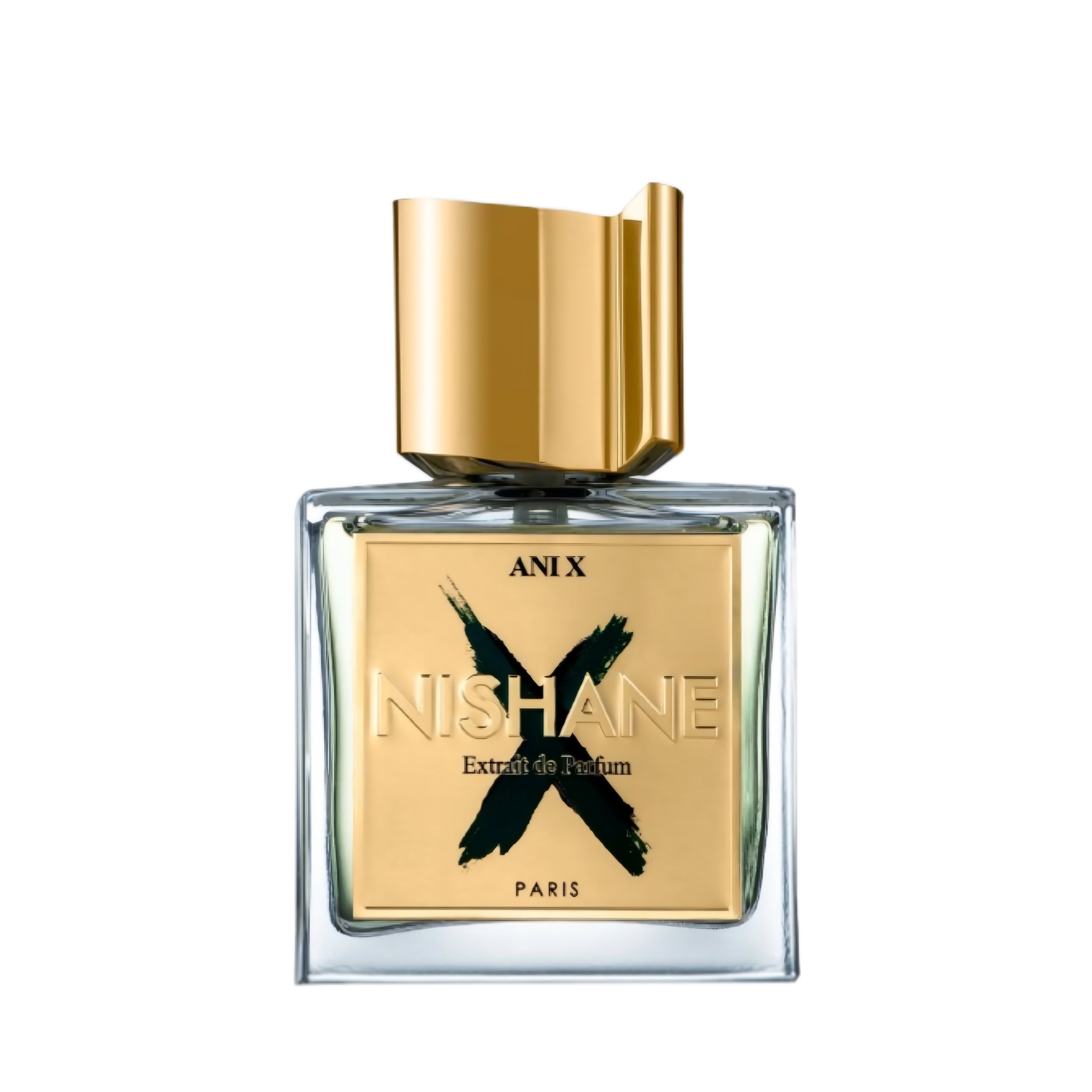 ANI X Extrait