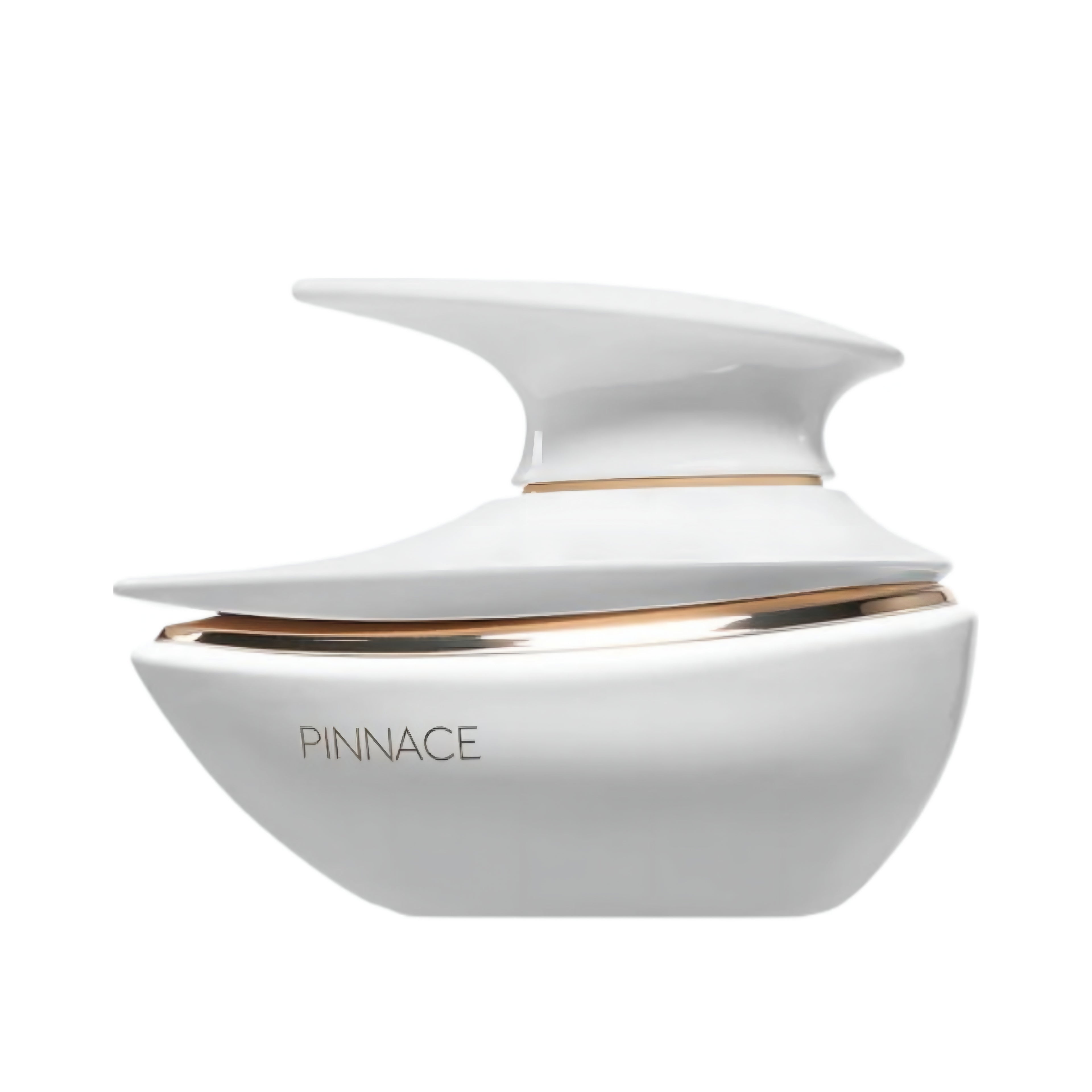 PINNACE EDP