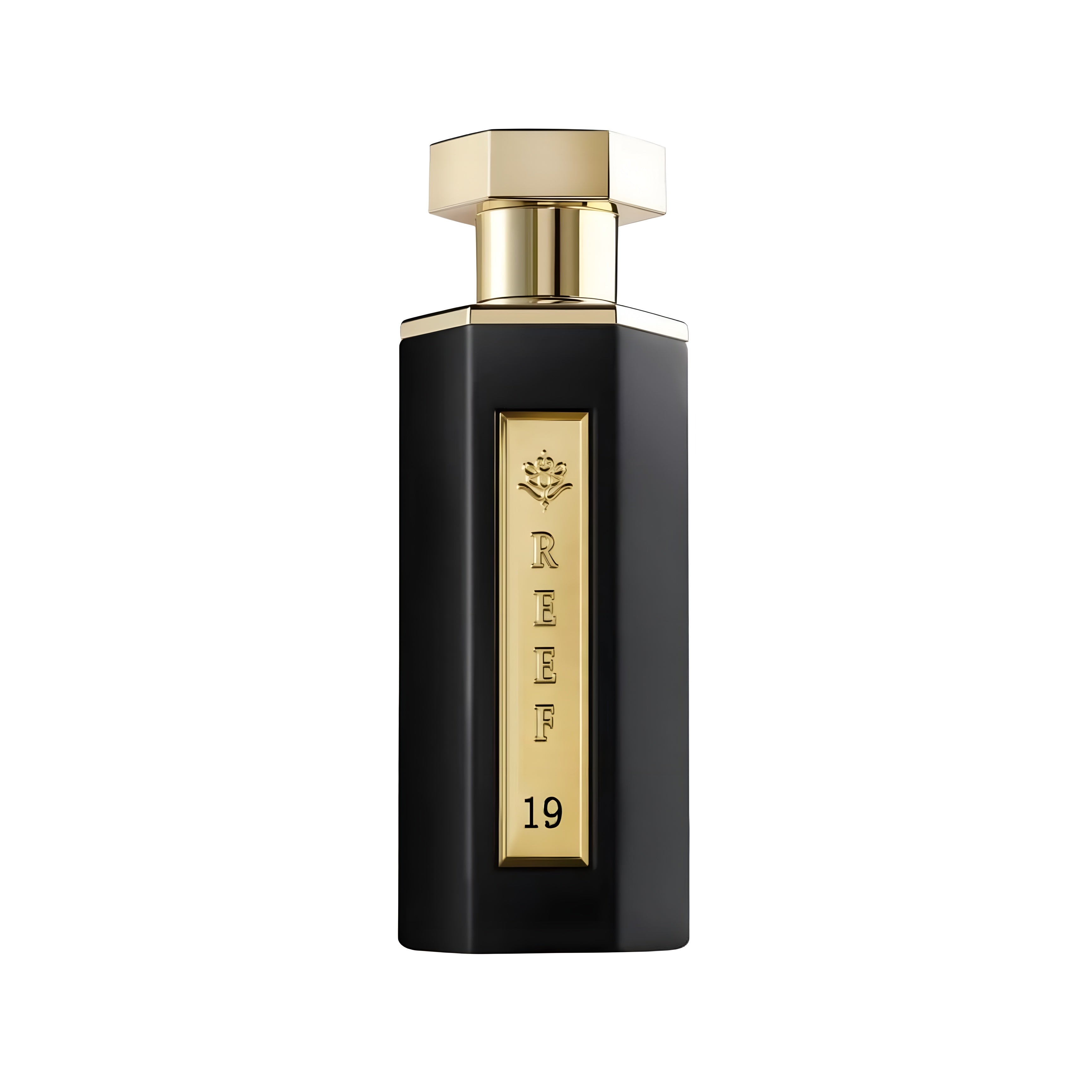 Reef 19 Edp 100ml Perfume